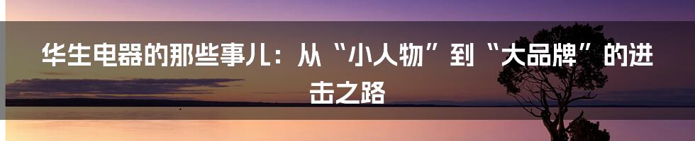 华生电器的那些事儿：从“小人物”到“大品牌”的进击之路