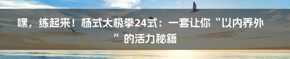嘿，练起来！杨式太极拳24式：一套让你“以内养外”的活力秘籍