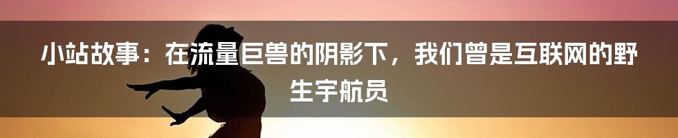 小站故事：在流量巨兽的阴影下，我们曾是互联网的野生宇航员