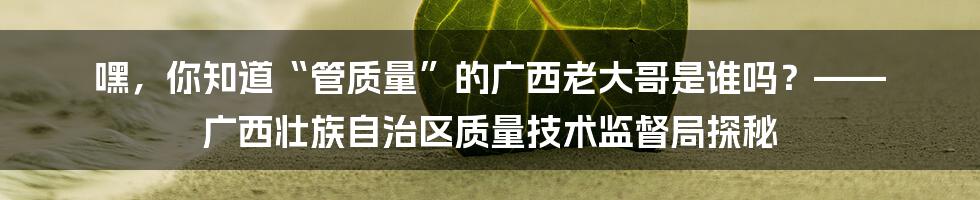 嘿，你知道“管质量”的广西老大哥是谁吗？—— 广西壮族自治区质量技术监督局探秘