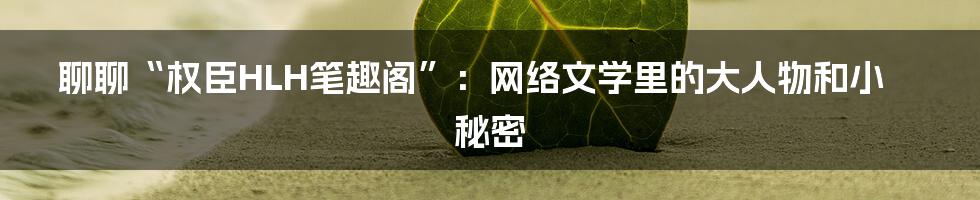 聊聊“权臣HLH笔趣阁”：网络文学里的大人物和小秘密