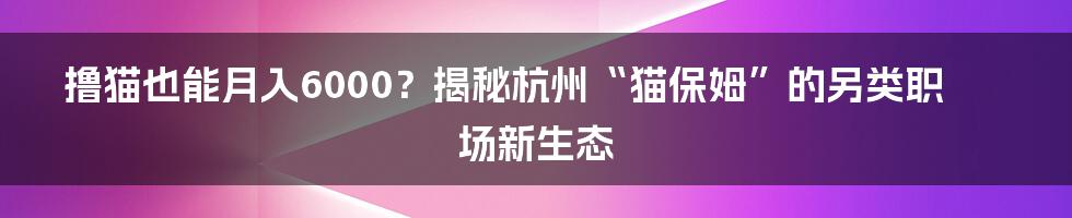 撸猫也能月入6000？揭秘杭州“猫保姆”的另类职场新生态
