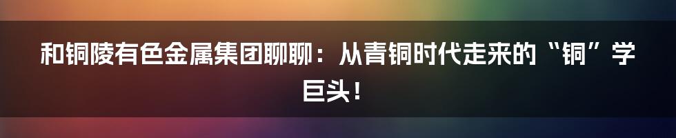 和铜陵有色金属集团聊聊：从青铜时代走来的“铜”学巨头！