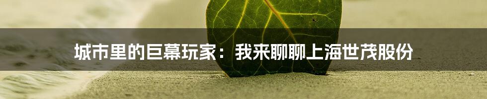 城市里的巨幕玩家：我来聊聊上海世茂股份