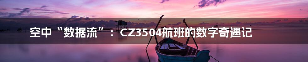 空中“数据流”：CZ3504航班的数字奇遇记