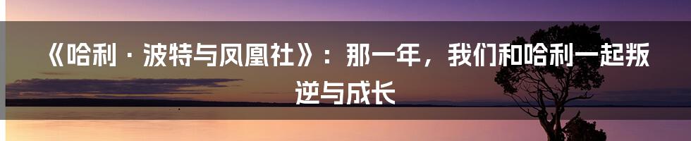《哈利·波特与凤凰社》：那一年，我们和哈利一起叛逆与成长