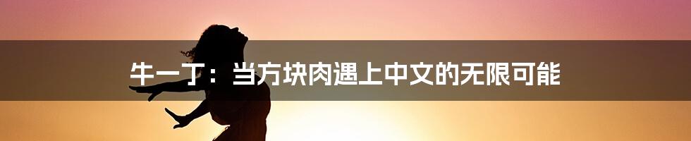 牛一丁：当方块肉遇上中文的无限可能