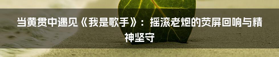 当黄贯中遇见《我是歌手》：摇滚老炮的荧屏回响与精神坚守