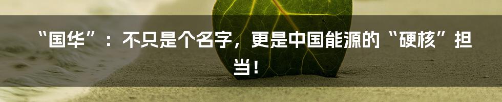 “国华”：不只是个名字，更是中国能源的“硬核”担当！