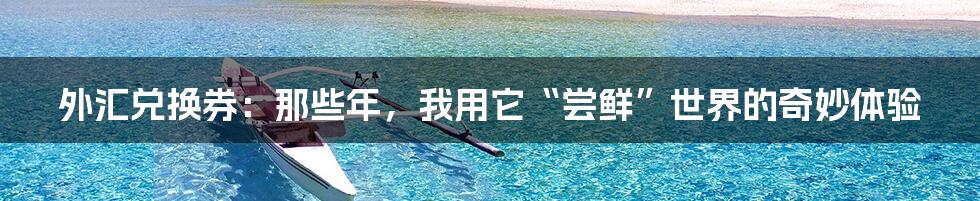 外汇兑换券：那些年，我用它“尝鲜”世界的奇妙体验