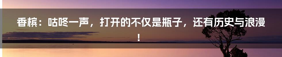 香槟：咕咚一声，打开的不仅是瓶子，还有历史与浪漫！