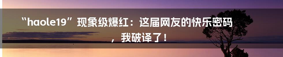 “haole19”现象级爆红：这届网友的快乐密码，我破译了！