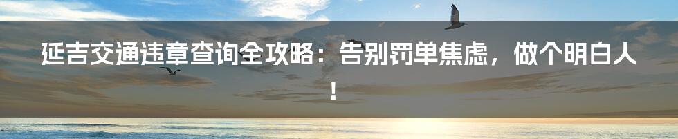 延吉交通违章查询全攻略：告别罚单焦虑，做个明白人！