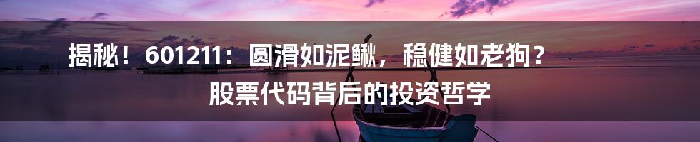 揭秘！601211：圆滑如泥鳅，稳健如老狗？ 股票代码背后的投资哲学