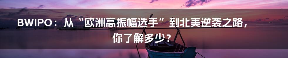 BWIPO：从“欧洲高振幅选手”到北美逆袭之路，你了解多少？