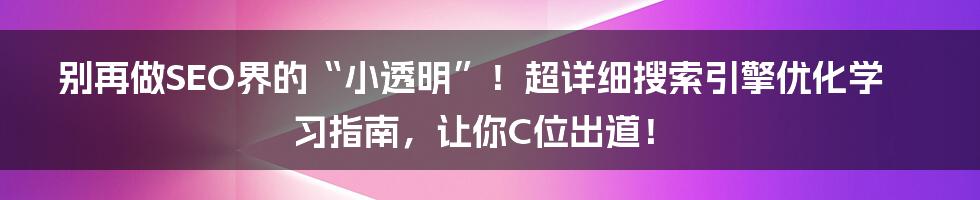 别再做SEO界的“小透明”！超详细搜索引擎优化学习指南，让你C位出道！