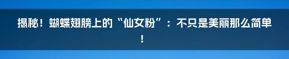 揭秘！蝴蝶翅膀上的“仙女粉”：不只是美丽那么简单！