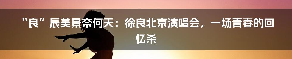“良”辰美景奈何天：徐良北京演唱会，一场青春的回忆杀