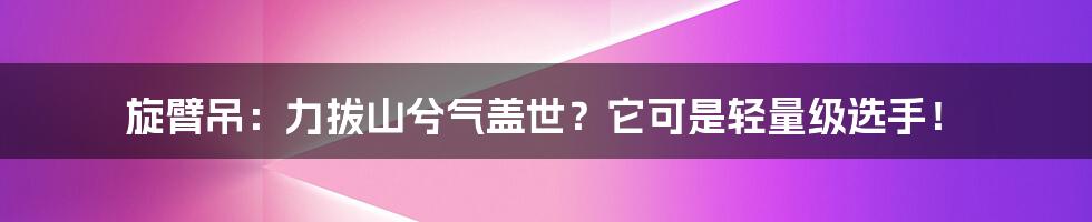 旋臂吊：力拔山兮气盖世？它可是轻量级选手！