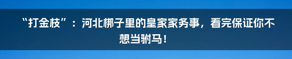 “打金枝”：河北梆子里的皇家家务事，看完保证你不想当驸马！
