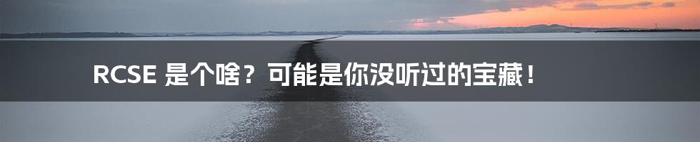 RCSE 是个啥？可能是你没听过的宝藏！