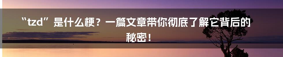 “tzd”是什么梗？一篇文章带你彻底了解它背后的秘密！