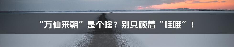 “万仙来朝”是个啥？别只顾着“哇哦”！