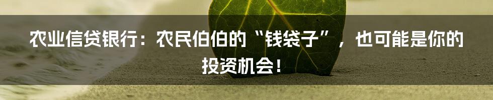 农业信贷银行：农民伯伯的“钱袋子”，也可能是你的投资机会！