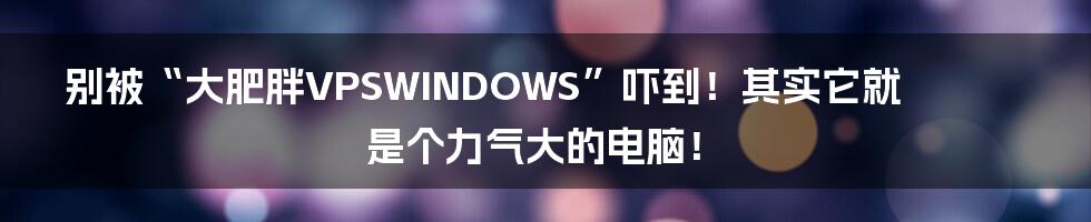 别被“大肥胖VPSWINDOWS”吓到！其实它就是个力气大的电脑！