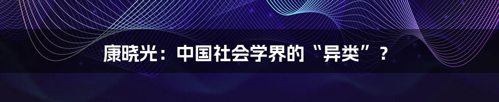 康晓光：中国社会学界的“异类”？