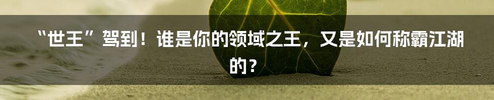 “世王”驾到！谁是你的领域之王，又是如何称霸江湖的？