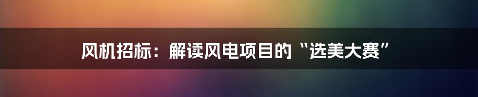 风机招标：解读风电项目的“选美大赛”