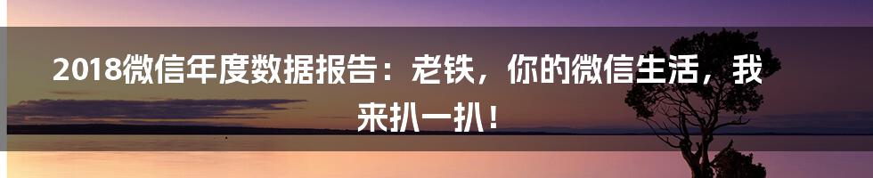 2018微信年度数据报告：老铁，你的微信生活，我来扒一扒！