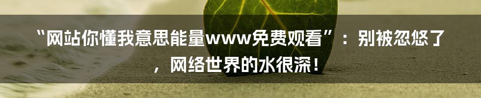 “网站你懂我意思能量www免费观看”：别被忽悠了，网络世界的水很深！