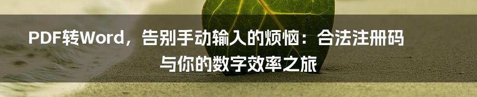 PDF转Word，告别手动输入的烦恼：合法注册码与你的数字效率之旅