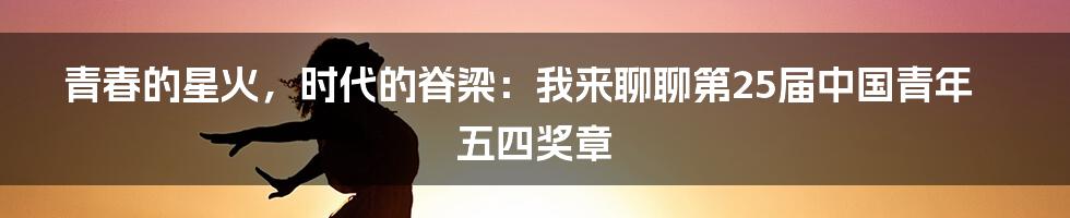 青春的星火，时代的脊梁：我来聊聊第25届中国青年五四奖章