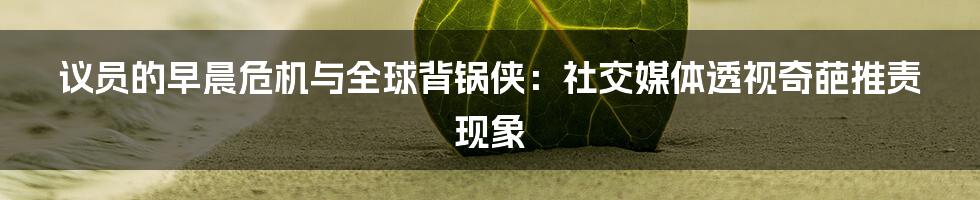 议员的早晨危机与全球背锅侠：社交媒体透视奇葩推责现象