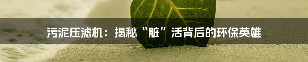 污泥压滤机：揭秘“脏”活背后的环保英雄