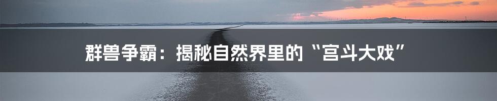 群兽争霸：揭秘自然界里的“宫斗大戏”
