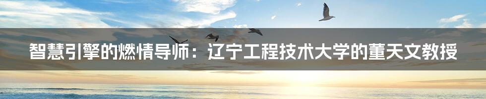 智慧引擎的燃情导师：辽宁工程技术大学的董天文教授