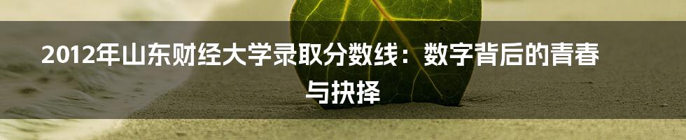 2012年山东财经大学录取分数线：数字背后的青春与抉择
