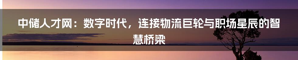 中储人才网：数字时代，连接物流巨轮与职场星辰的智慧桥梁