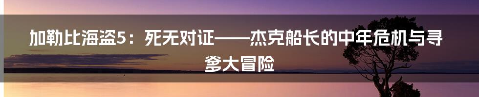 加勒比海盗5：死无对证——杰克船长的中年危机与寻爹大冒险