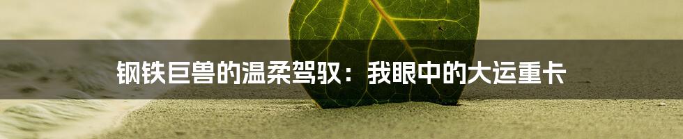 钢铁巨兽的温柔驾驭：我眼中的大运重卡