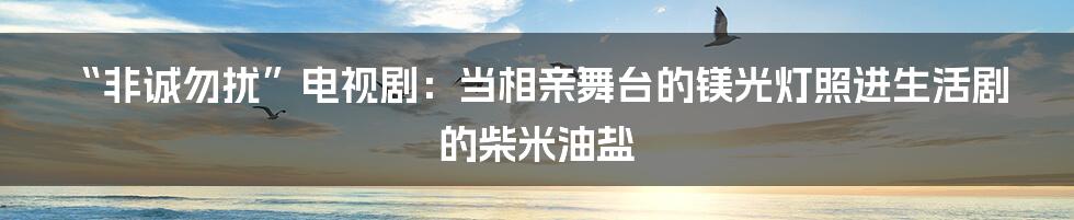 “非诚勿扰”电视剧：当相亲舞台的镁光灯照进生活剧的柴米油盐