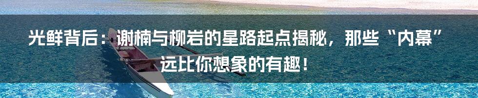 光鲜背后：谢楠与柳岩的星路起点揭秘，那些“内幕”远比你想象的有趣！