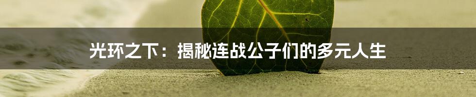 光环之下：揭秘连战公子们的多元人生