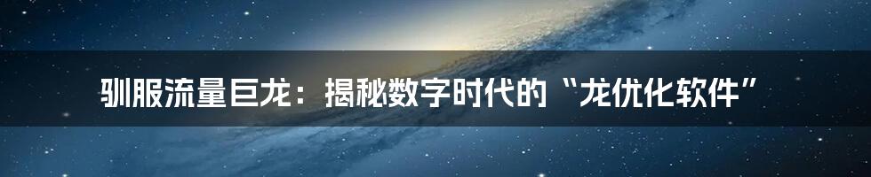 驯服流量巨龙：揭秘数字时代的“龙优化软件”