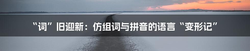 “词”旧迎新：仿组词与拼音的语言“变形记”