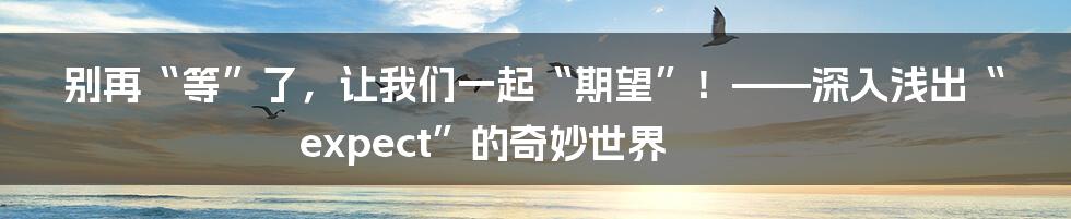 别再“等”了，让我们一起“期望”！——深入浅出“expect”的奇妙世界
